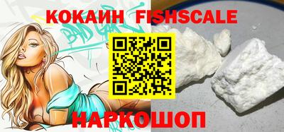 индика Боровичи