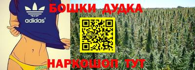 индика Боровичи