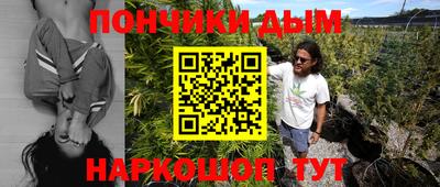 индика Боровичи