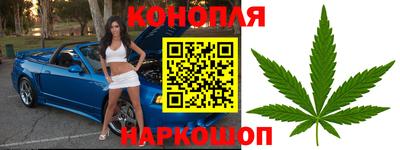 индика Боровичи