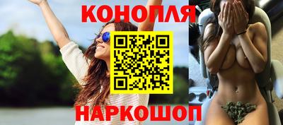 индика Боровичи