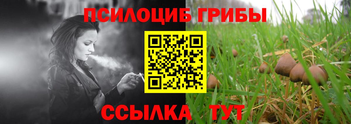 Галлюциногенные грибы Magic Shrooms  Вход с VPN  Псилоцибиновые грибы прущие грибы  Верхний Уфалей 